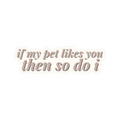 Oh mon chien Sticker