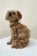 Noah Harness in Embossed Yellow & Black Leather