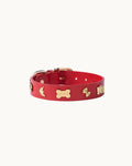 Foodie Collar