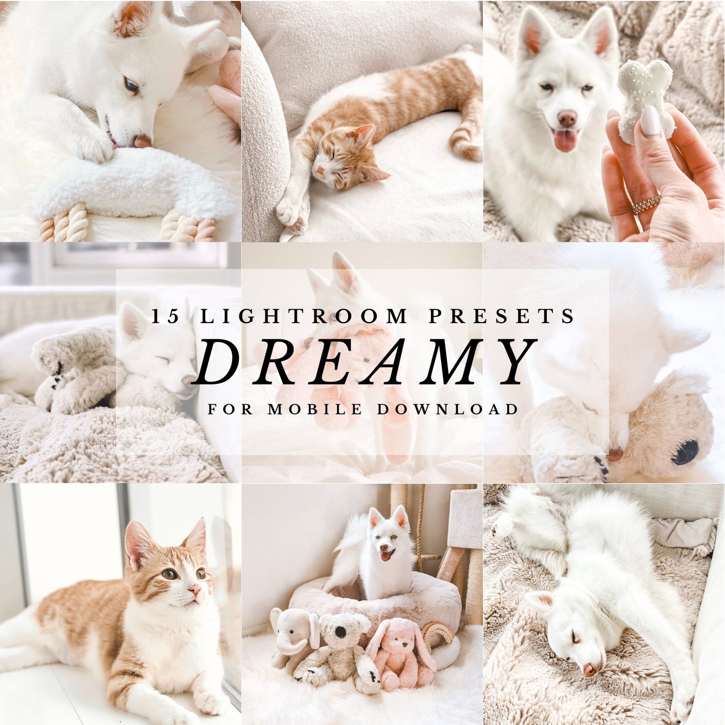 Dreamy Presets - Fur Elise Pets